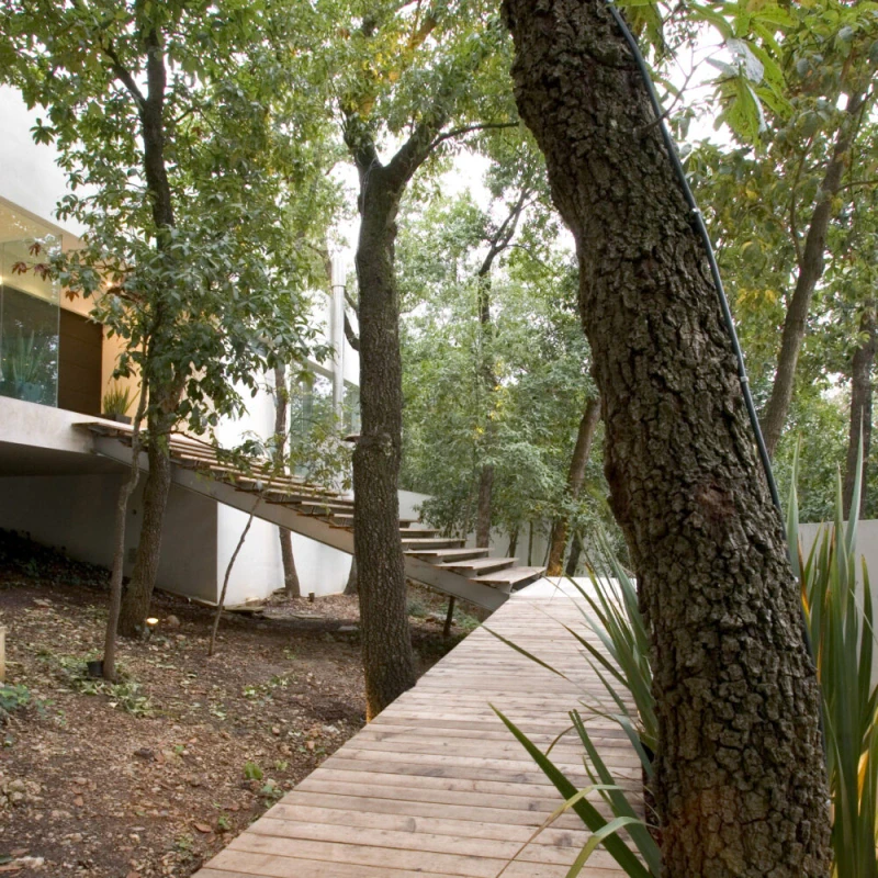 Casa Palmillas — foto 1 de 12