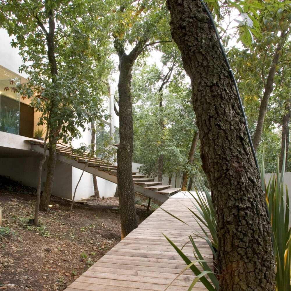 Casa Palmillas