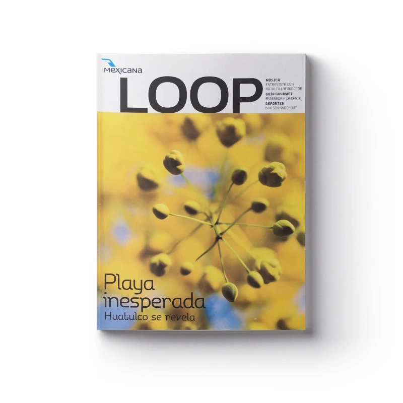 Mexicana Loop, 2009 — coverage of GLR Arquitectos